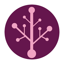 Airis Governance